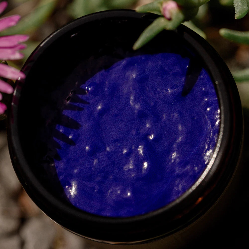 Close-up of a black container with blue substance, surrounded by green plants and pink flowers.